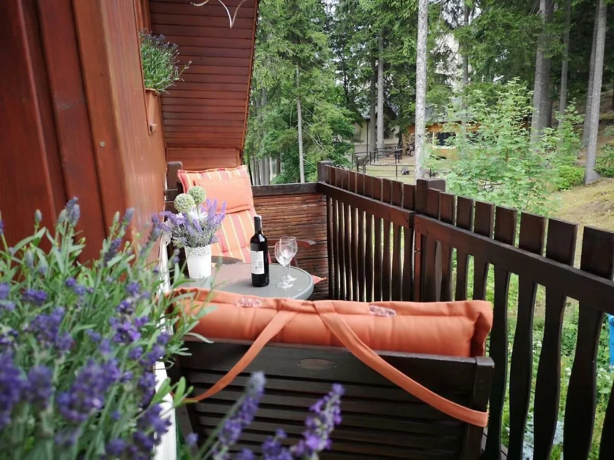 Bed and Breakfast Safir Przy Samym Wyciagu à Karpacz Pologne