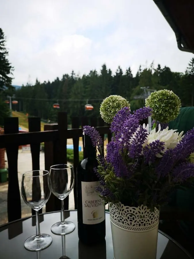 Bed and Breakfast Safir Przy Samym Wyciagu à Karpacz 0*,  Pologne