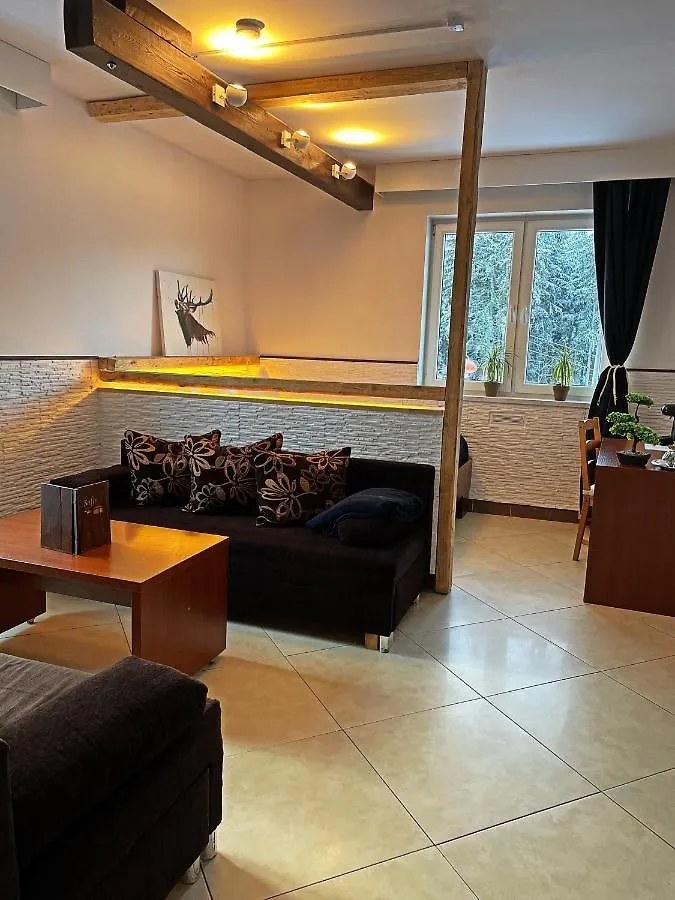 Bed and Breakfast Safir Przy Samym Wyciagu Karpacz