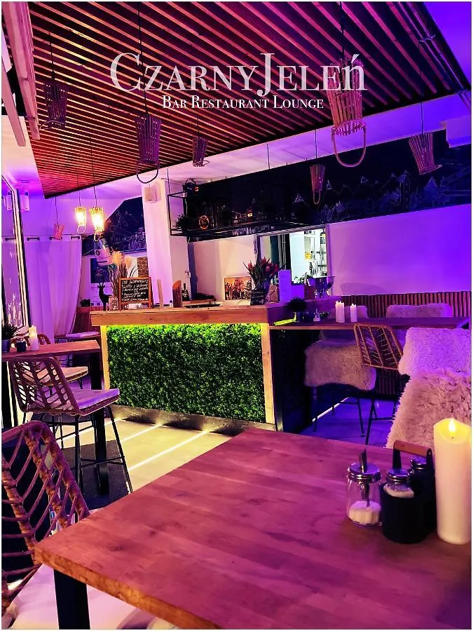 Bed and Breakfast Safir Przy Samym Wyciagu Karpacz 0*,
