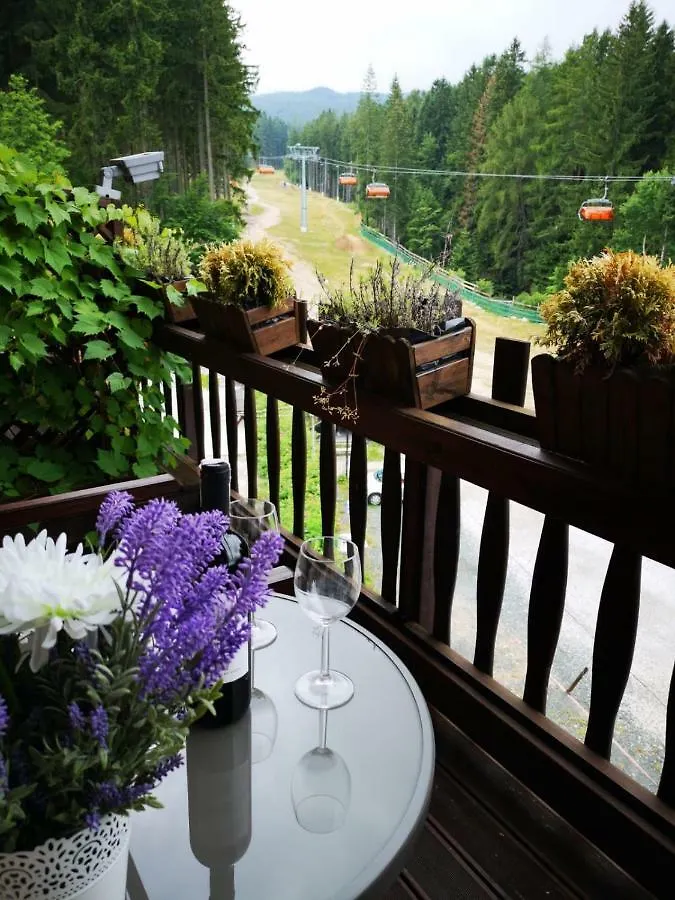 Bed and Breakfast Safir Przy Samym Wyciagu Karpacz Bed & Breakfast